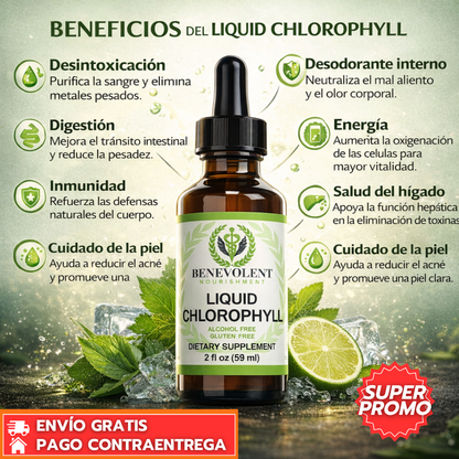Clorofila Vital™: Suplemento líquido con clorofila y menta que apoya la desintoxicación y aporta frescura diaria.